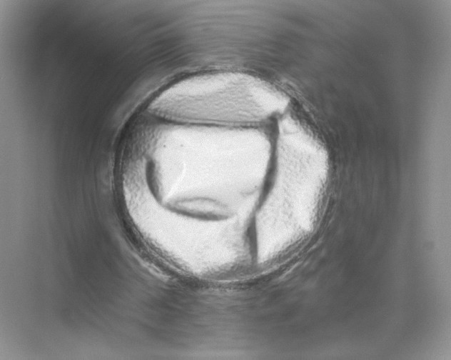 X0000075340194200609292044