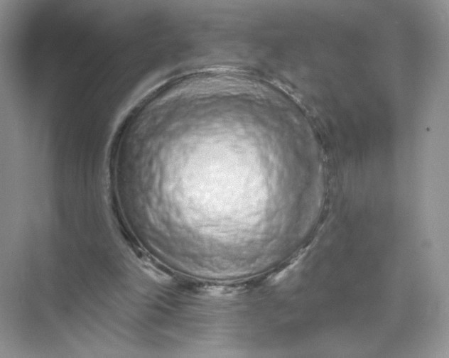 X0000075340198200609292043