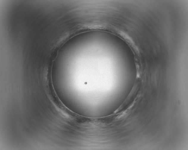 X0000075340201200609292043