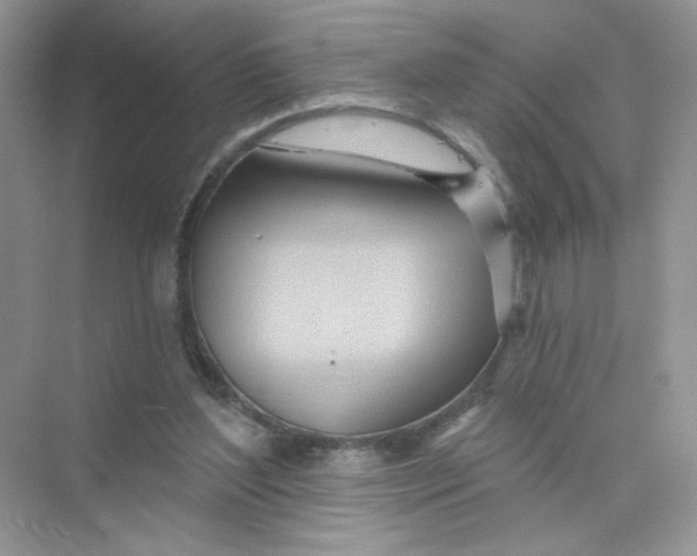 X0000075340204200609292043