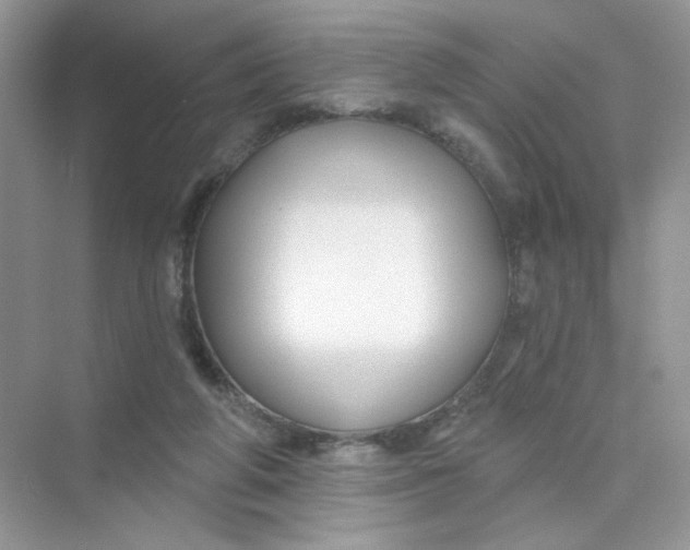 X0000075340210200609292043