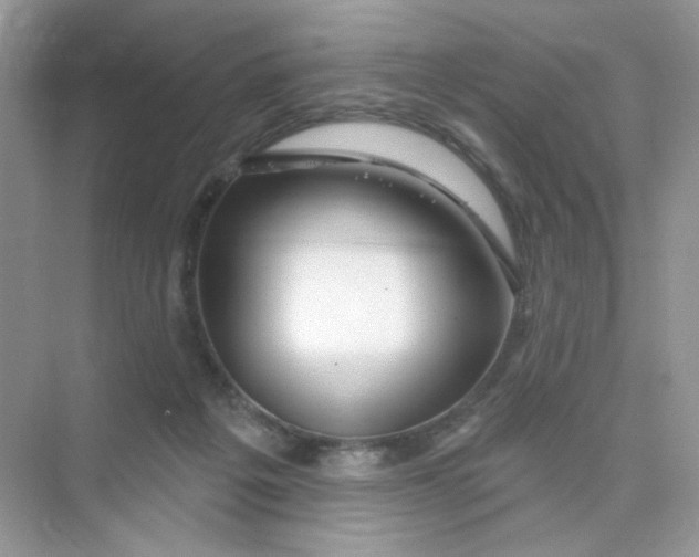 X0000075340217200609292043
