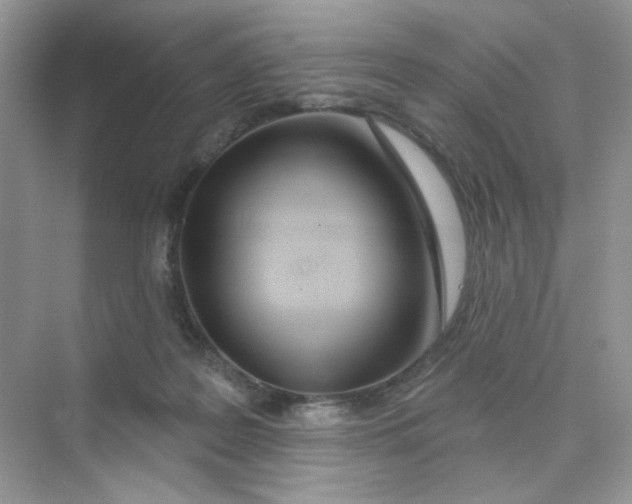 X0000075340219200609292043