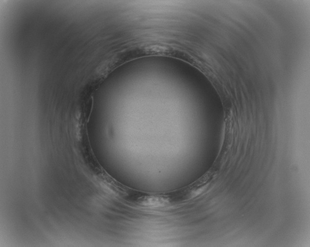 X0000075340223200609292043