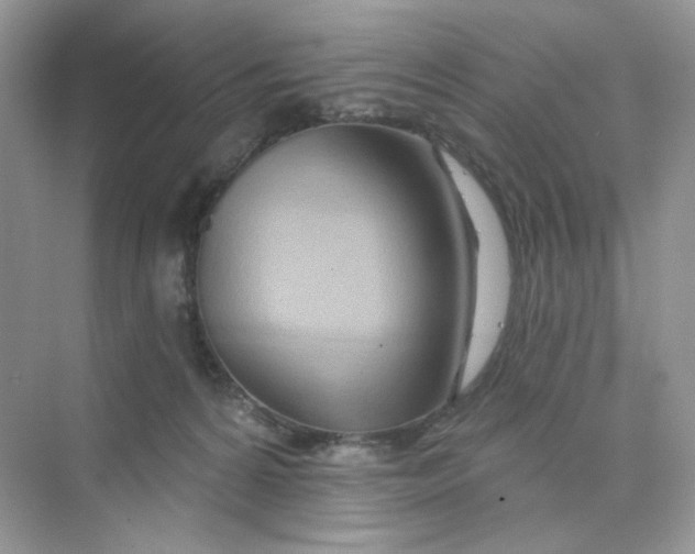 X0000075340224200609292043
