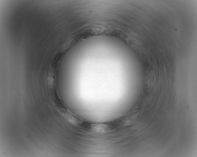 X0000075340226200609292043