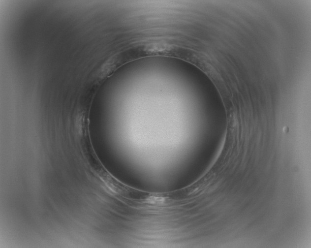 X0000075340227200609292043