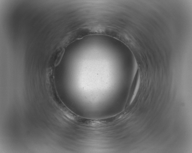 X0000075340229200609292043
