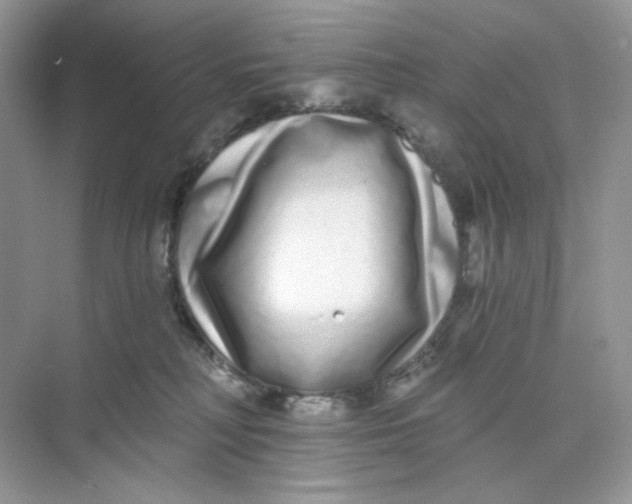 X0000075340230200609292043