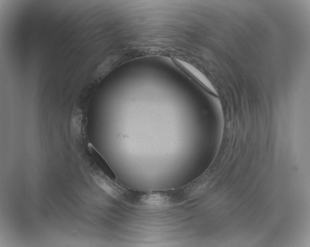 X0000075340231200609292043