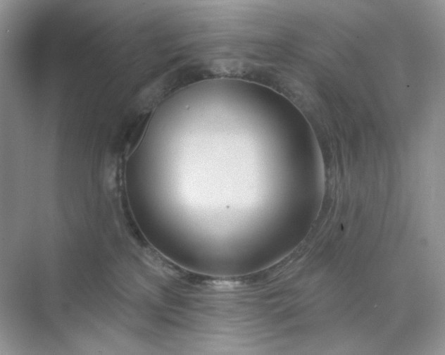 X0000075340233200609292043