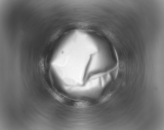 X0000075340238200609292043