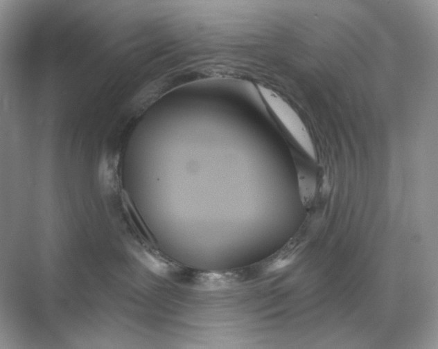 X0000075340239200609292043