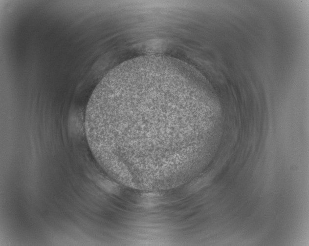 X0000075340240200609292043