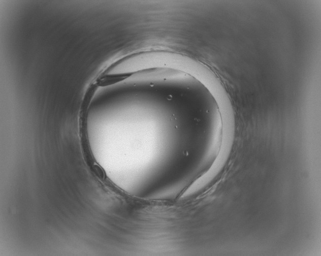 X0000075340244200609292042
