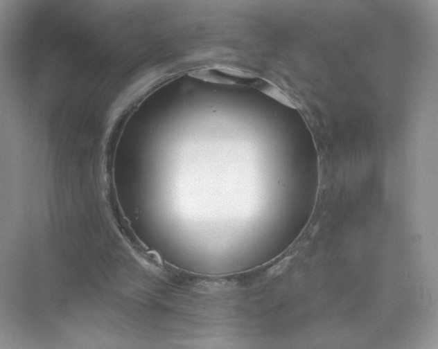 X0000075340245200609292042