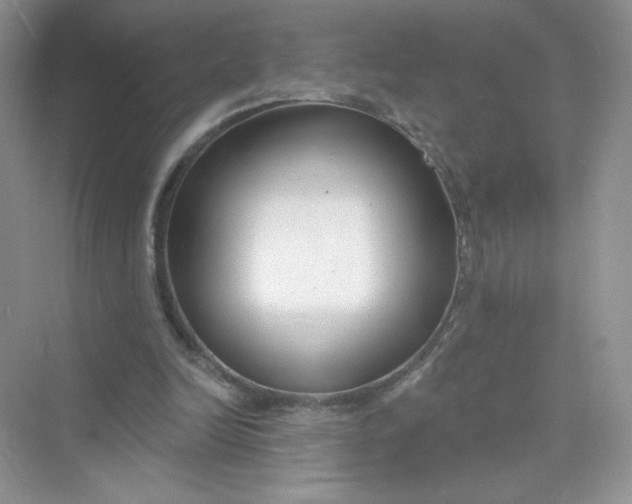 X0000075340246200609292042