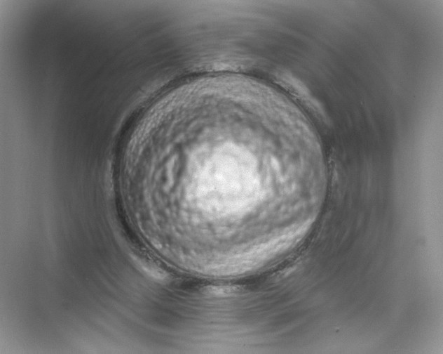 X0000075340250200609292042