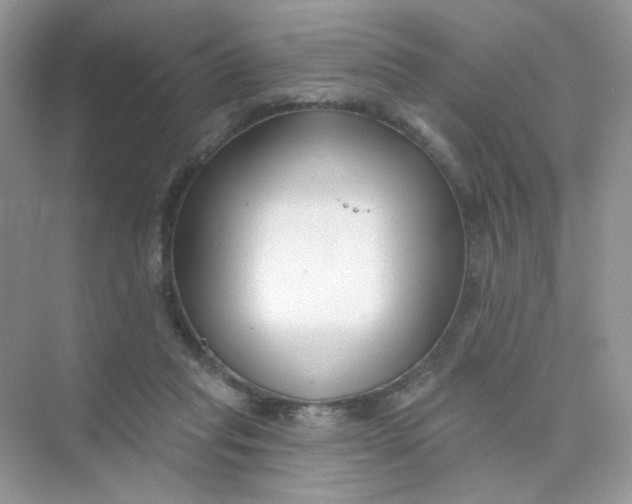 X0000075340261200609292042
