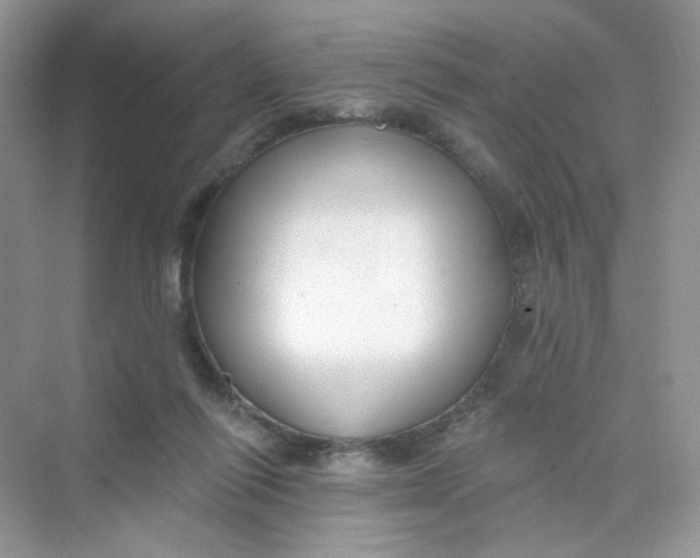 X0000075340262200609292042