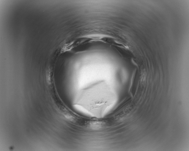 X0000075340268200609292042
