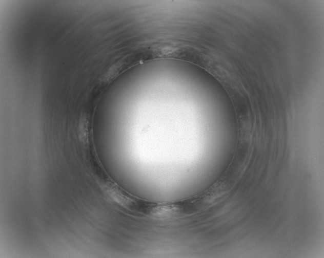 X0000075340274200609292042