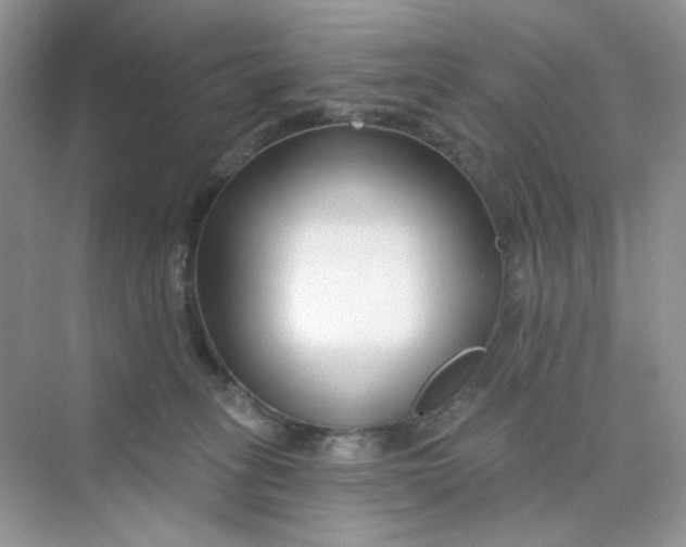 X0000075340275200609292042
