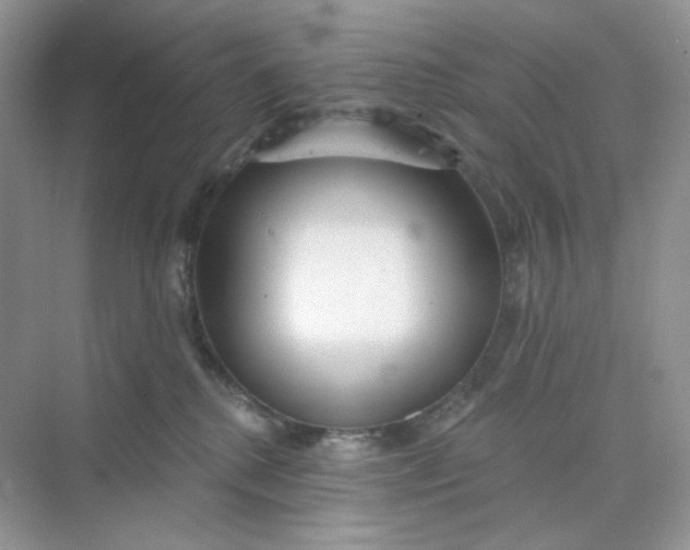 X0000075340280200609292043