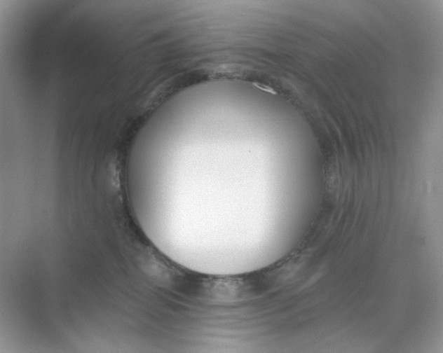 X0000075340282200609292043