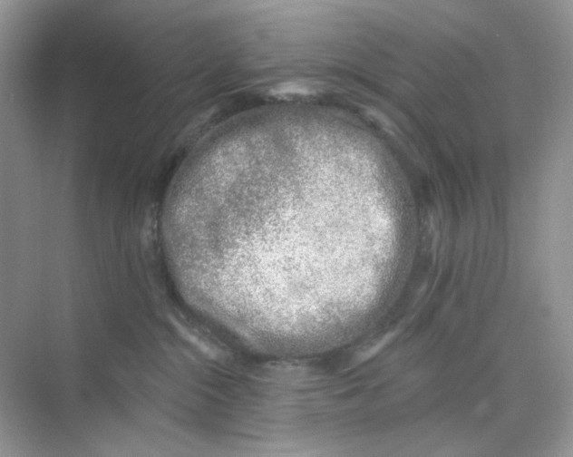 X0000075340284200609292043