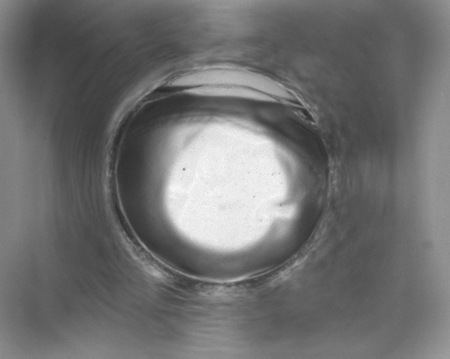 X0000075340293200609292042