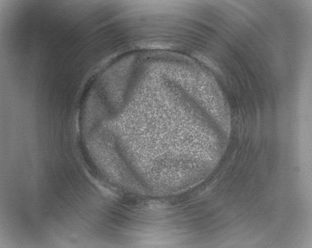 X0000075340302200609292042
