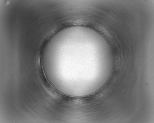 X0000075340310200609292042