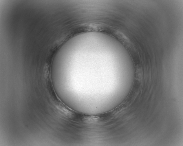 X0000075340318200609292041