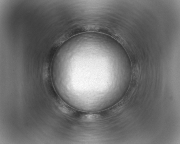 X0000075340323200609292041