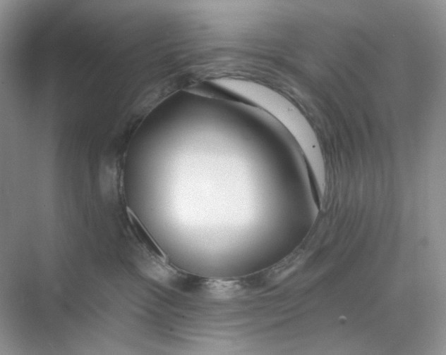 X0000075340333200609292041