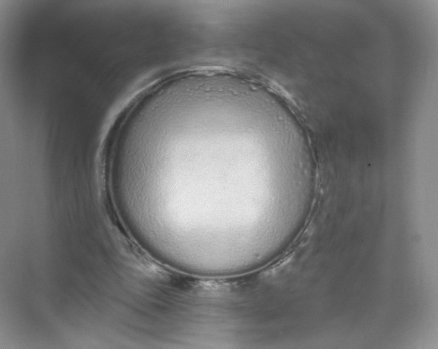 X0000075340343200609292040