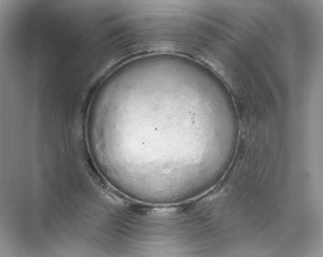X0000075340347200609292040
