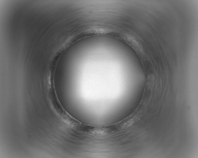 X0000075340358200609292041