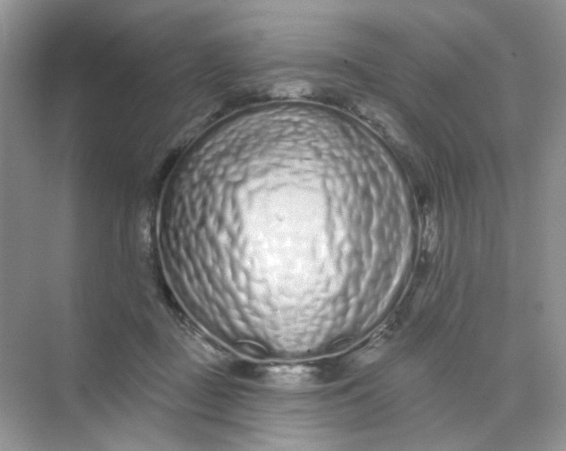 X0000075340363200609292041