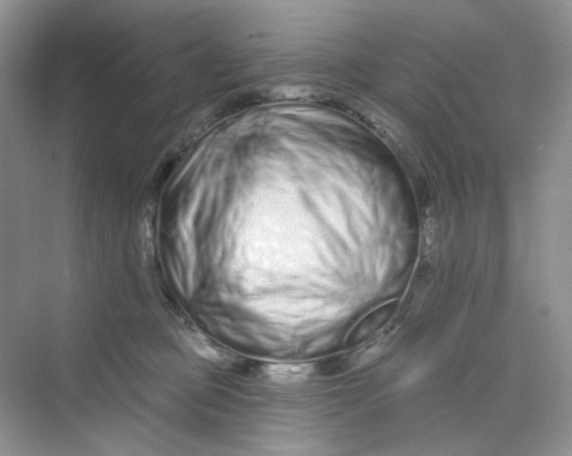 X0000075340373200609292041