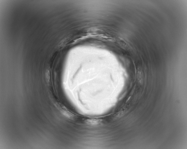 X0000075340375200609292041