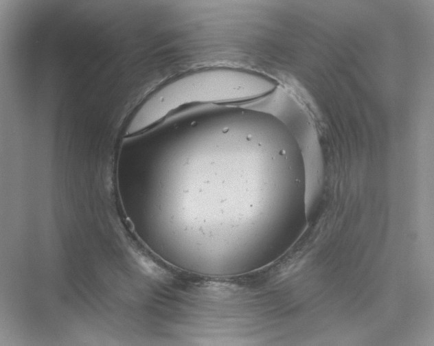 X0000075340393200609292040