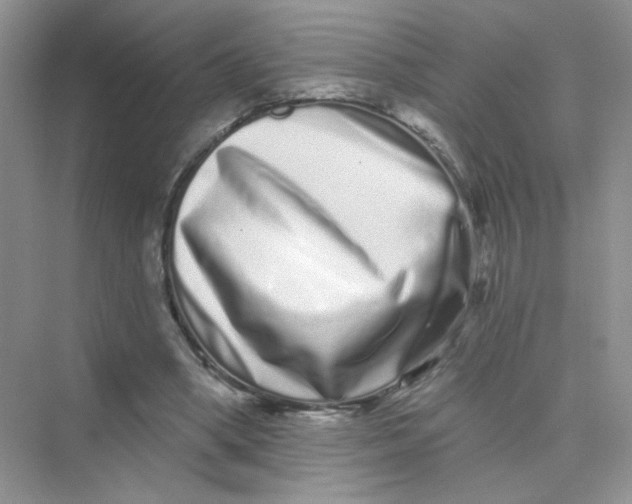 X0000075340394200609292040