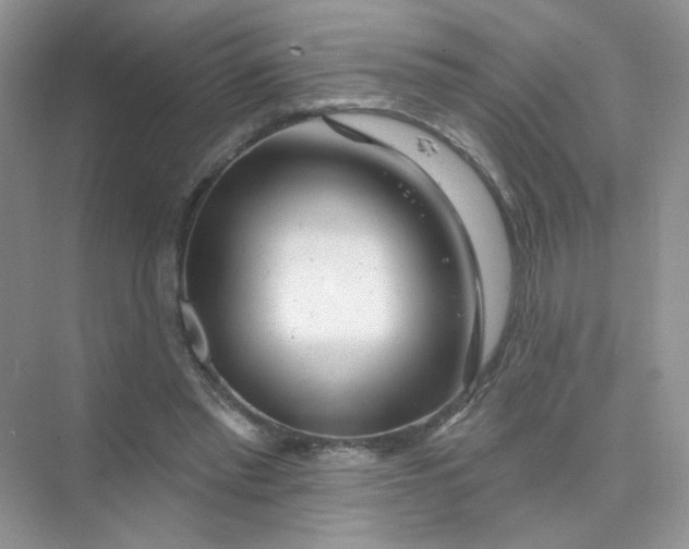 X0000075340397200609292040