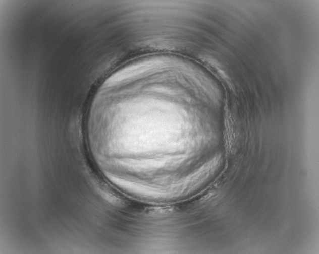X0000075340398200609292040