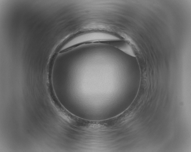 X0000075340399200609292040