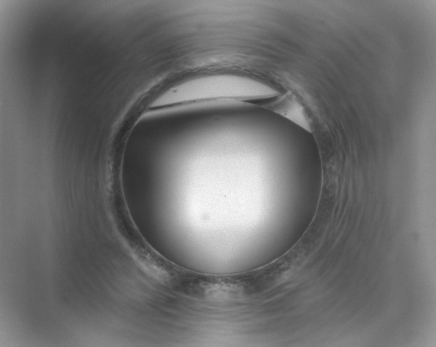 X0000075340400200609292040