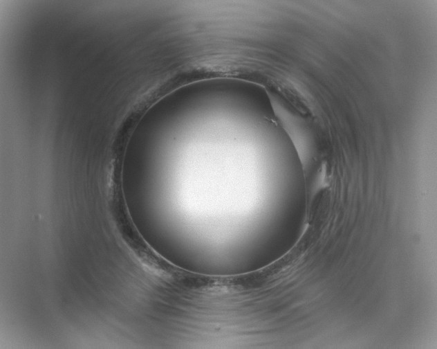 X0000075340404200609292040
