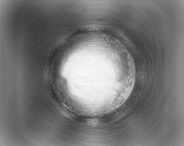 X0000075340411200609292040